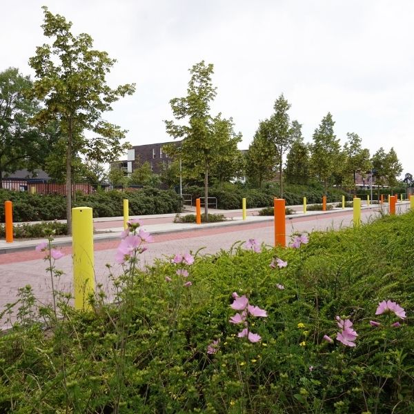 Straatpraat #6: Steeds meer ruimte voor kleur